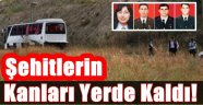 Halkalı Katilleri Serbest!