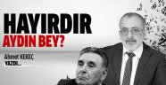 Hayırdır Aydın Bey?