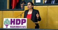 HDP den Skandal Teklif