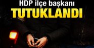 HDP Kağızman İlçe Başkanı Tutuklandı
