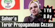 HDP'li Vekil 4 Ayla Kurtuldu