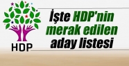 İl İl HDP Aday Listesi