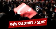 Kahpe Saldırılar Devam Ediyor!