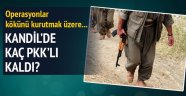 Kandil'de Kaç Terörist Kaldı?