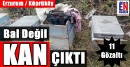 Köprüköy'de PKK Operasyonu