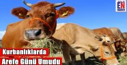 Kurbanlıklarda Arefe Umudu