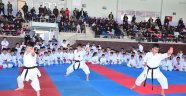 Minik Tekmeler Kurtuluş İçin Savruldu