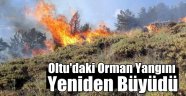 Oltu'daki Yangın Yeniden Büyüdü
