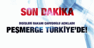 Peşmerge Türkiye'de