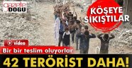 PKK'da Kopuş Hız Kazandı