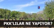 PKK'lılar Ne Yapıyor?