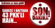 PKK'ya Son Haftada Ağır Darbe Vuruldu!