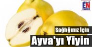 Sağlık Kaynağı Ayva