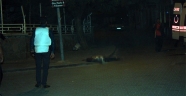 Hainlerin 4'ü Ölü, 1'i Yaralı Ele Geçirildi