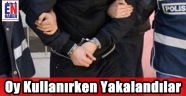 Sandık Başında Yakalandılar