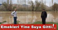 Sel Oltu Çiftçisini Vurdu