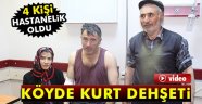 Şenkaya'da Kurt Saldırısı. 4 Yaralı