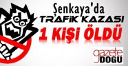 Şenkaya'da Trafik Kazası, 1 Ölü!