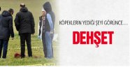 Sokak Köpekleri Kadını Öldürüp!