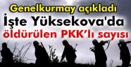 TSK Hakkari'de Alınan Kelle Sayısını Açıkladı