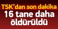 TSK Temizliğe Devam Ediyor