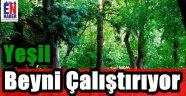Yeşil Zihni Temizliyor