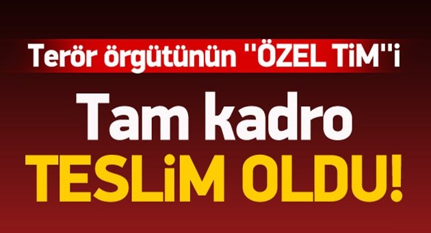 Terör Örgütünün 'Özel Tim'i Tam Kadro Teslim!