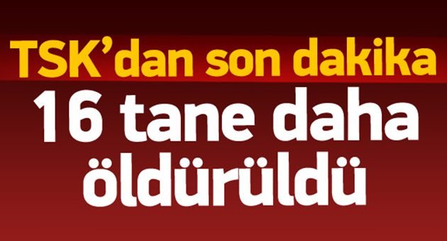 TSK Temizliğe Devam Ediyor